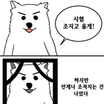 스쉐말이야