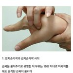 [댓글부탁해] 누르면 피로가 풀리는 신체 <b>부위</b>들