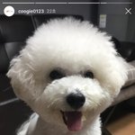 요즘 <b>신서유기</b> 왜이렇게 많이 봄???