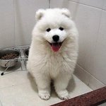 [드루와] 미스터<b>선샤인</b> 재밌어?