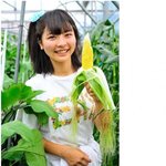 아이돌 자살하게 만든 일본 <b>연예</b> 기획사