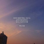 혼합물 가열곡선 아는 사람..?