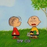 [댓글부탁해] 대학생활 질문받아!