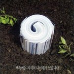 팝송 you belong <b>with</b> me 안다모른다 추반