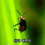 배고파서 김치<b>까르보</b>나라 먹음