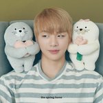 [강다니엘] 더스프링홈 &amp; <b>지마켓</b> 강다니엘 뉴짤 (ㅌㅁㅈㅇ)
