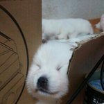 알바생이 나보다 나이가 어리면 <b>반말</b> 써도 돼?