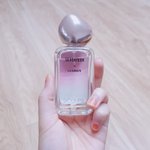 [세븐틴] 저 밑 캐로<b>시가</b> 올렸지만 나두 향수 자랑8ㅅ8