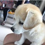 [댓글부탁해] 카페에서 슬라임 만지는거 <b>민폐</b>야..??