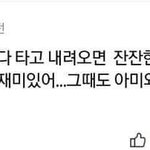 <b>롤러</b>코스터 다 타고 내려오면 잔잔한 회전목마도 재미있어