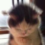 [댓글부탁해] <b>쇼파</b>커버에 액괴 스며듬 ㅎ