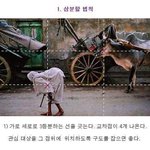 [드루와] <b>사진</b> 찍는 <b>구도</b> 방법