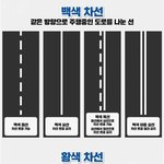 [댓글부탁해] 각종 <b>차선</b> 종류