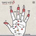 [드루와] <b>손바닥</b> <b>안</b> 장기들