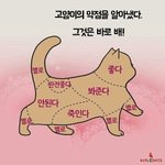 [댓글부탁해] 19)남친 과거 뭐가 더 충격이냐 추반