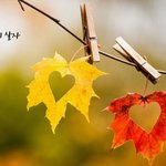 [좋은글귀] 기분 좋게 살자