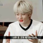 [NCT] 시즈니들 닠네임파티