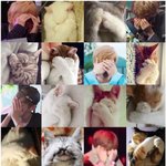 [강다니엘] ❌심장주의❌숨은 강다니엘 찾기 (고먐미<b>ver</b>.)