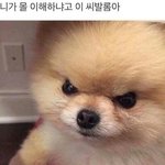 [드루와] 초딩때 <b>빙의</b>글 쓴거 가족들이 다 알음
