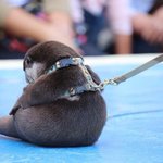 [댓글부탁해] <b>특성</b>화곤데 정시준비 어때..