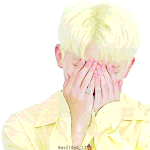 [세븐틴] 캐럿봉 케이스 쓸만해?