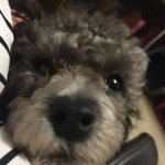 [댓글부탁해] 나 오늘 <b>밤잠</b> 다 잤다