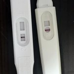 [19] <b>한줄</b> 확실히맞지?