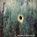 [좋은글귀] 짧은 삶에 긴 여운이 남도록 살자