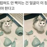[EXO] 커엽