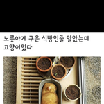 [드루와] 올해 별로안남았는데 다짐 <b>적자</b>!~!!