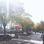 [모두드루와] <b>비비큐</b> 콘서트 실황