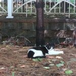 [댓글부탁해] <b>도수</b> 있는 렌즈 혼자 살수 있어?