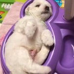 <b>개</b>빡<b>쳐</b> 쌤이 내 고데기 버림