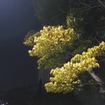 [조언부탁해] 얘들아 나 어떡해 진짜