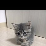 친구<b>생일</b>선물 뭐<b>사</b>줄까?ㅜ