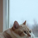 [댓글부탁해] 지금 마스크 팩 <b>1+1</b>하는 매장 있어?