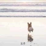 노란색 데님<b>셔츠</b>?