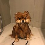 [댓글부탁해] 개소름 <b>에스</b>크 잘 아는사람 들어와바