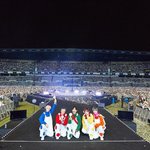 <b>만년</b>돌 에쵸티 토니