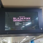 블랙핑크 콘서트 <b>매진</b>아님??