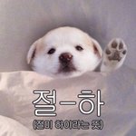 [댓글부탁해] 나 오늘 5년 친구떨굼