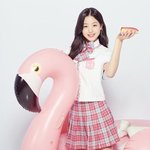 아이즈원 <b>티저</b> vs 프듀 프로필