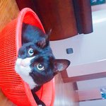 이름좀지어줘! 판녀들의<b>센스</b>가필요해!
