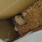 북순이하고 <b>평촌</b>이를 한번 붙여보았음~~~