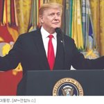 노랗게 물든 <b>은행나무</b>