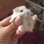 서울대는 학년별 내신<b>반영</b>비율 얼마야?