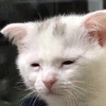 [조언부탁해] 너희 엄마들도 다 이럼..?ㅠㅠㅠ