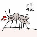 [조언부탁해] 좀 친한애가 여친이 생겼는데  계속 페메하면 좀 이상하나