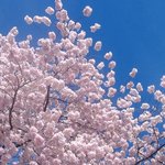 [19] <b>여장</b>남자