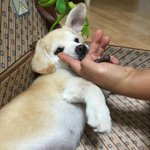 [짱<b>절미</b>] <b>절미</b> 인스타 업뎃